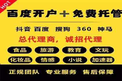 SEM代理助力企业：成功案例分析